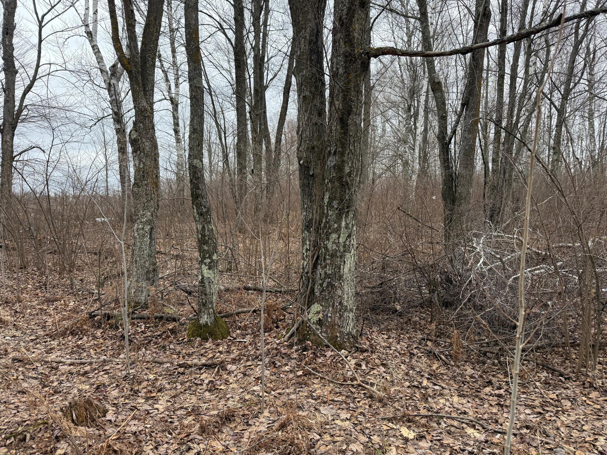 61613 Park Hills Road Bruno, MN 55712 - Photo 28 of 42