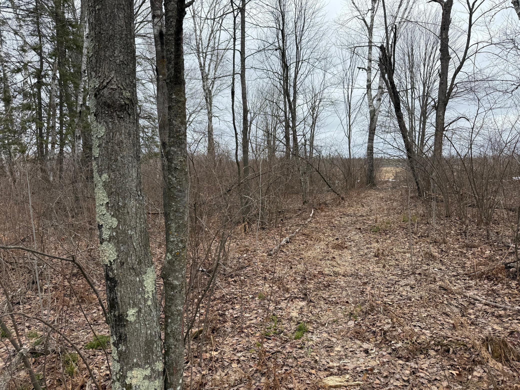 61613 Park Hills Road Bruno, MN 55712 - Photo 29 of 42