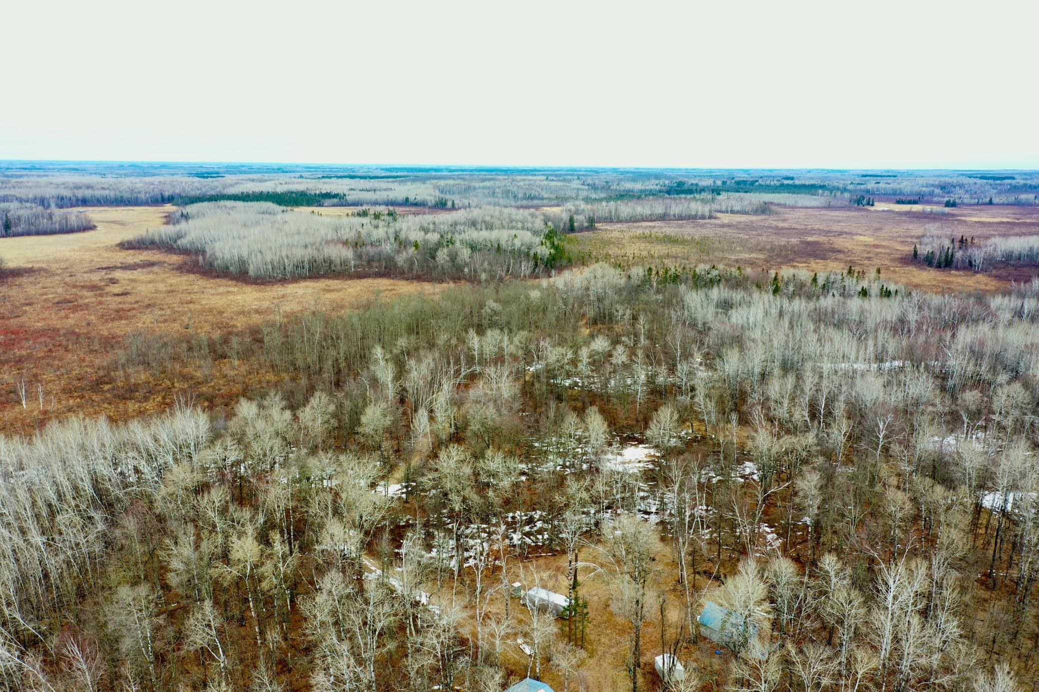 61613 Park Hills Road Bruno, MN 55712 - Photo 3 of 42