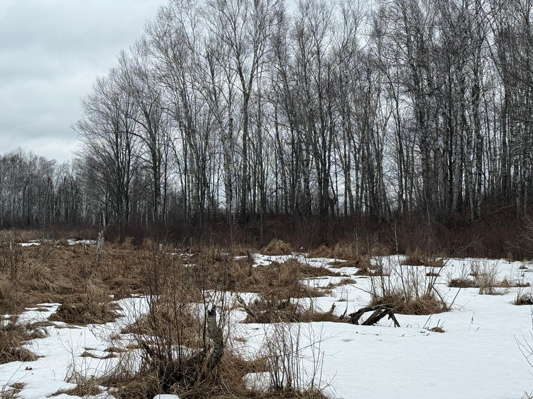 61613 Park Hills Road Bruno, MN 55712 - Photo 32 of 42