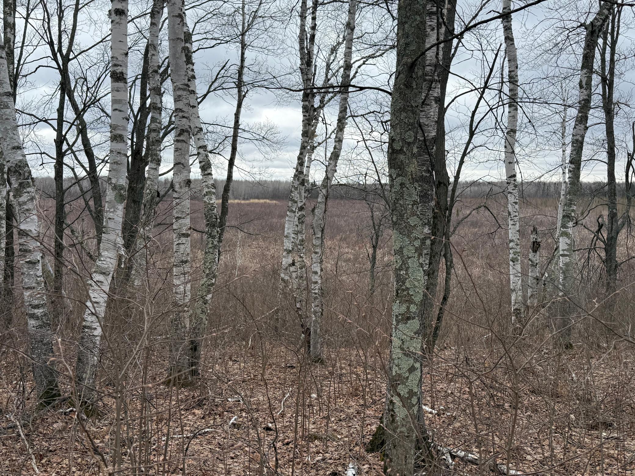 61613 Park Hills Road Bruno, MN 55712 - Photo 34 of 42