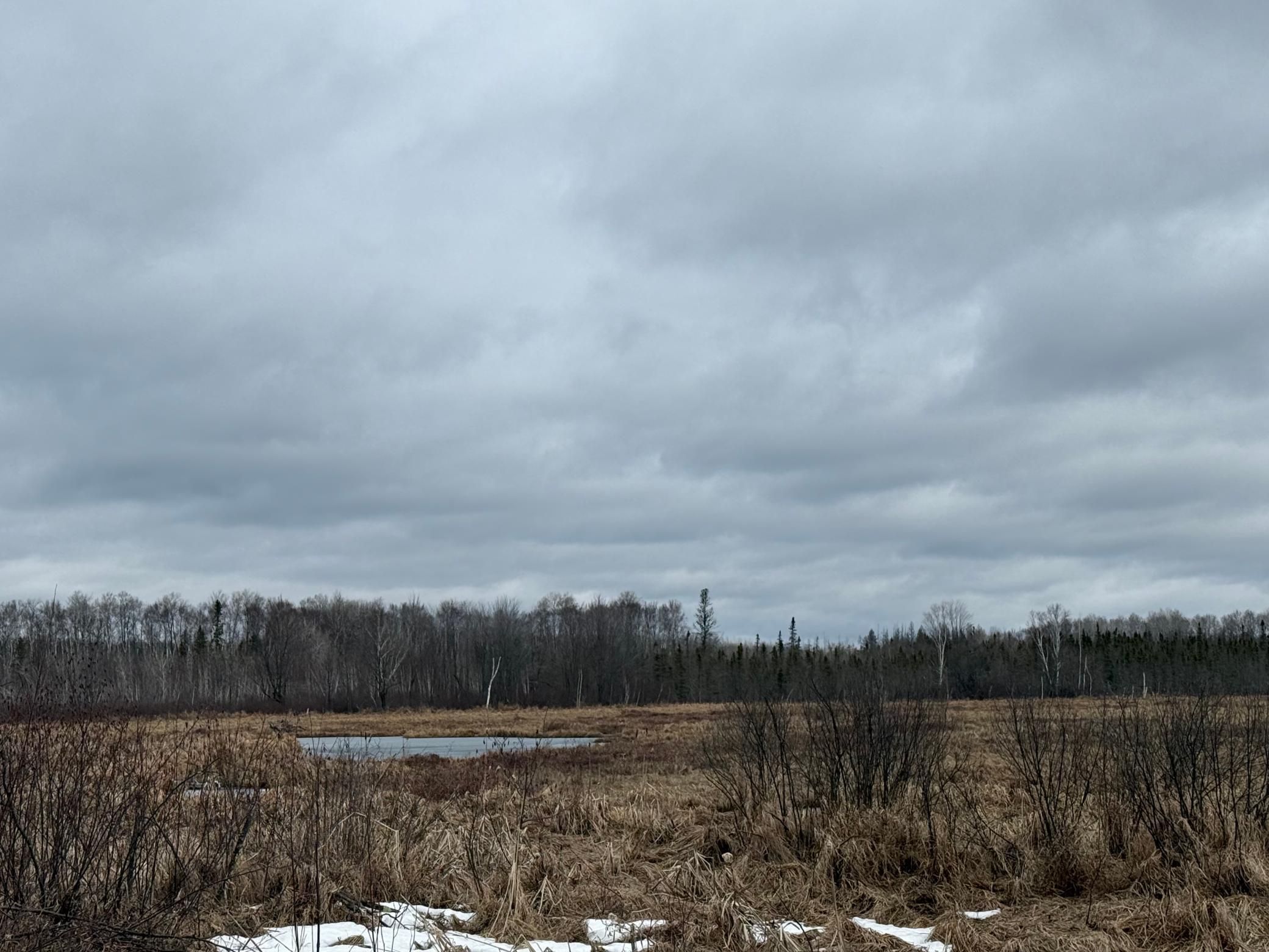 61613 Park Hills Road Bruno, MN 55712 - Photo 34 of 46