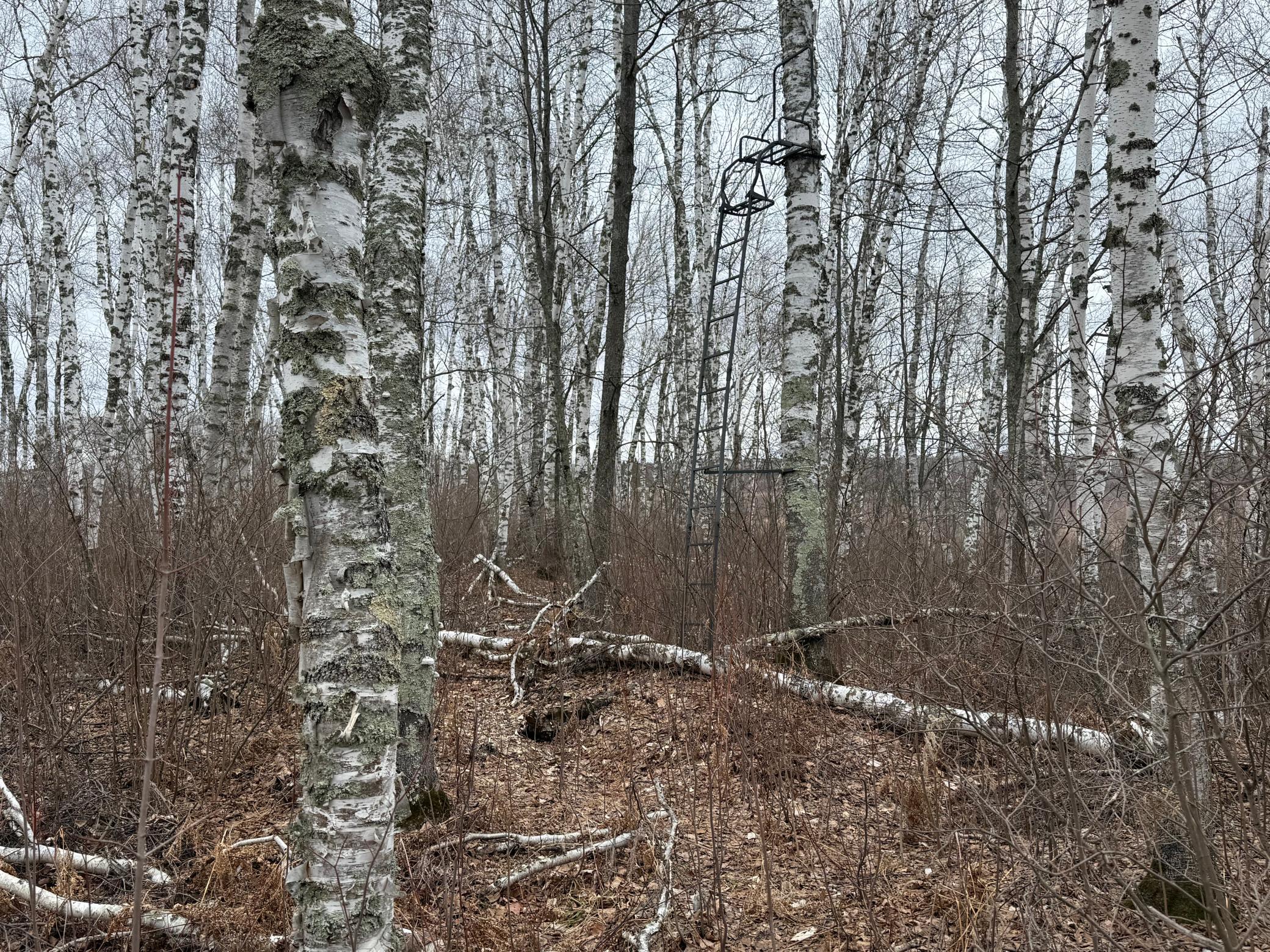 61613 Park Hills Road Bruno, MN 55712 - Photo 35 of 42