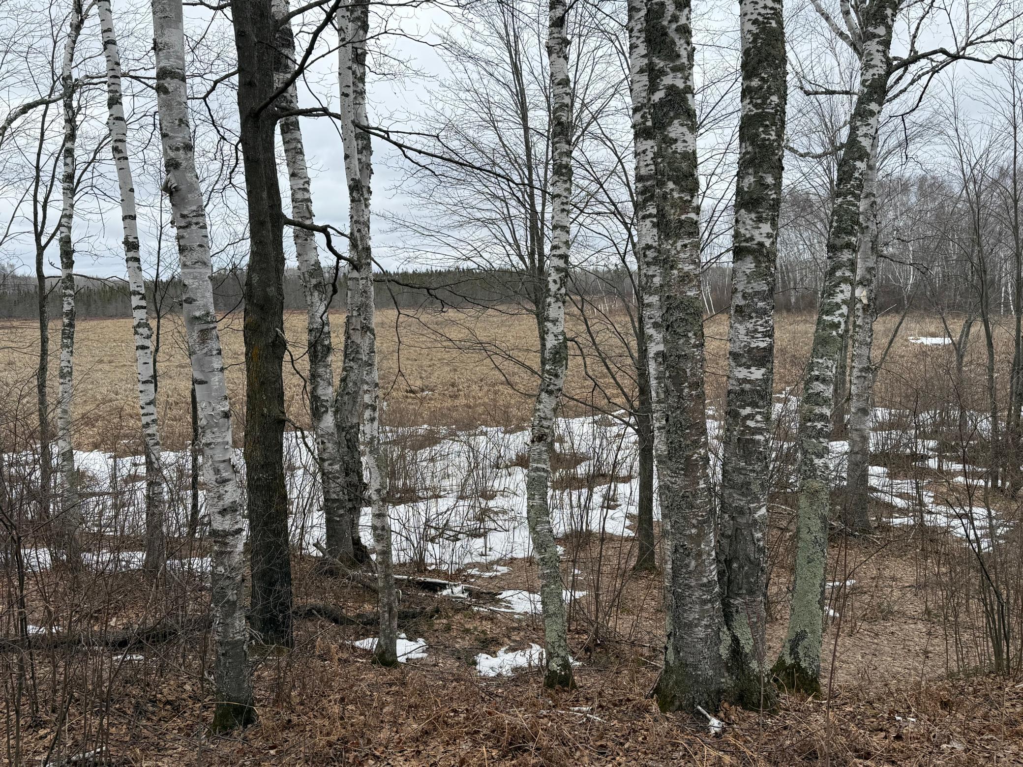 61613 Park Hills Road Bruno, MN 55712 - Photo 36 of 42