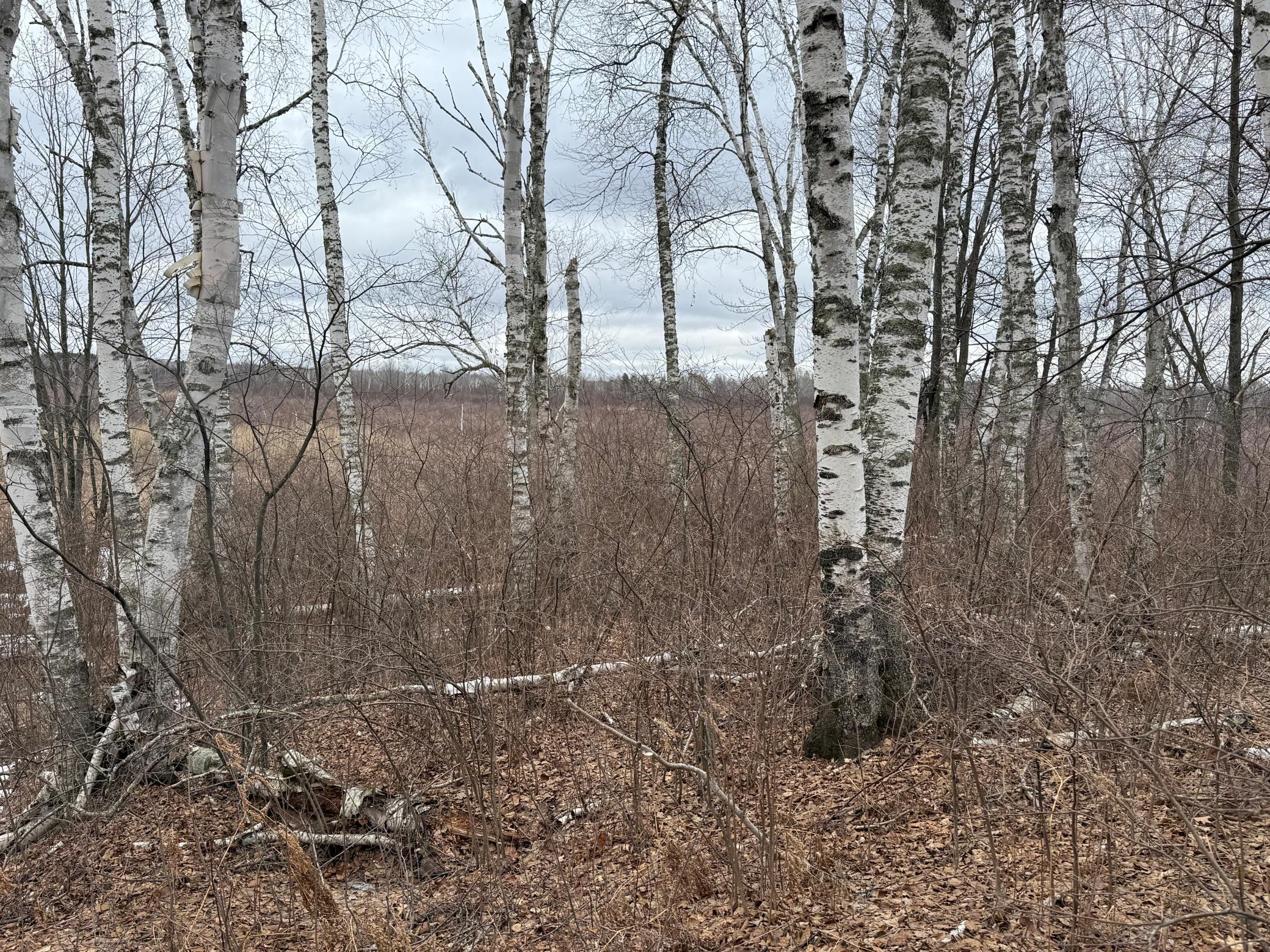 61613 Park Hills Road Bruno, MN 55712 - Photo 37 of 42