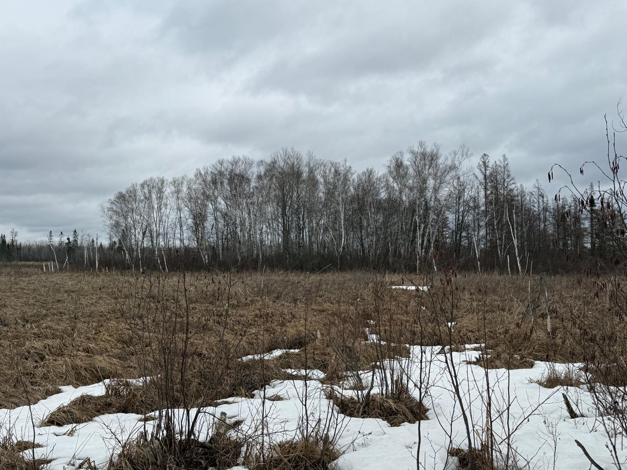 61613 Park Hills Road Bruno, MN 55712 - Photo 38 of 42