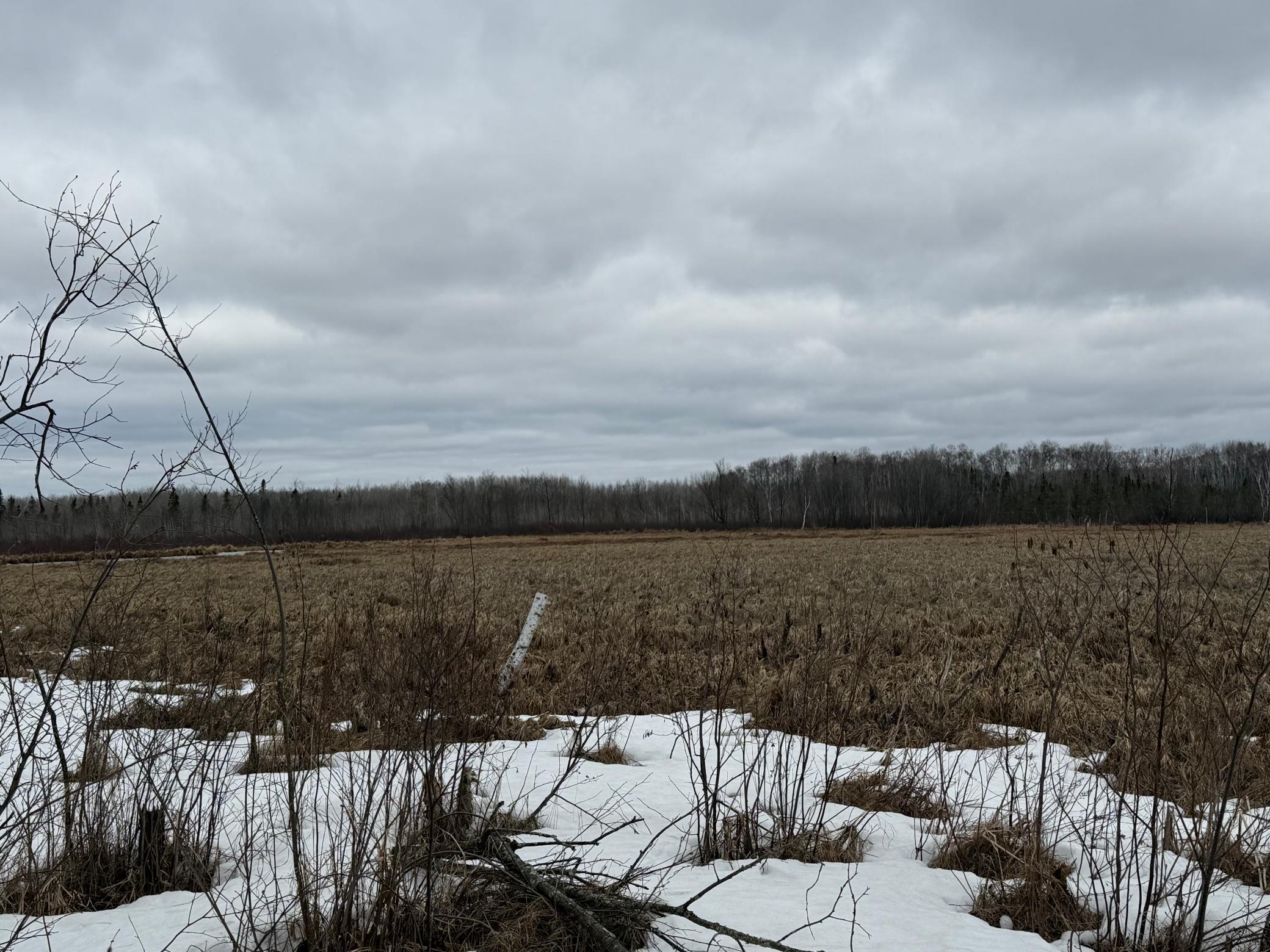 61613 Park Hills Road Bruno, MN 55712 - Photo 39 of 42