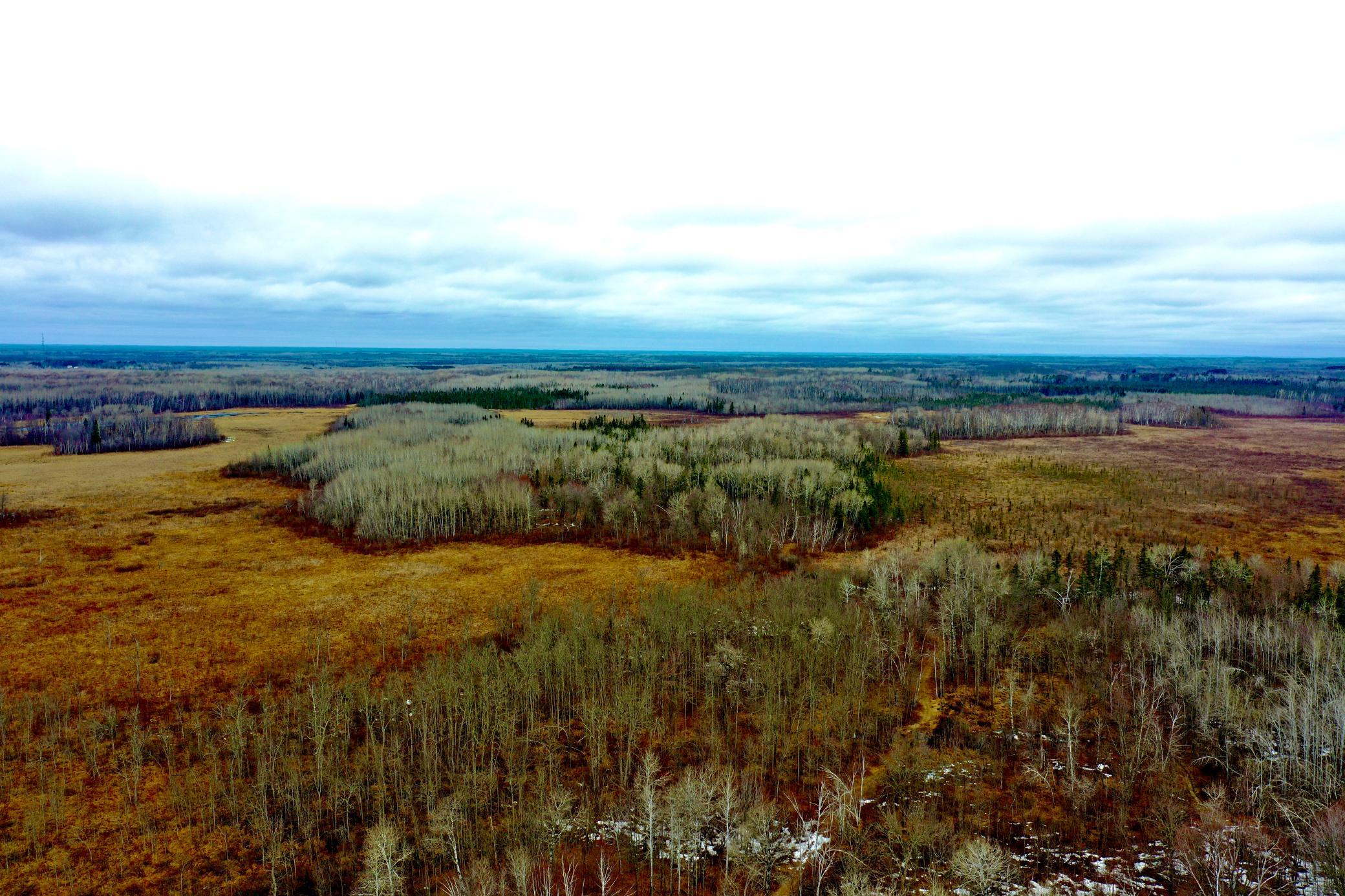 61613 Park Hills Road Bruno, MN 55712 - Photo 4 of 42