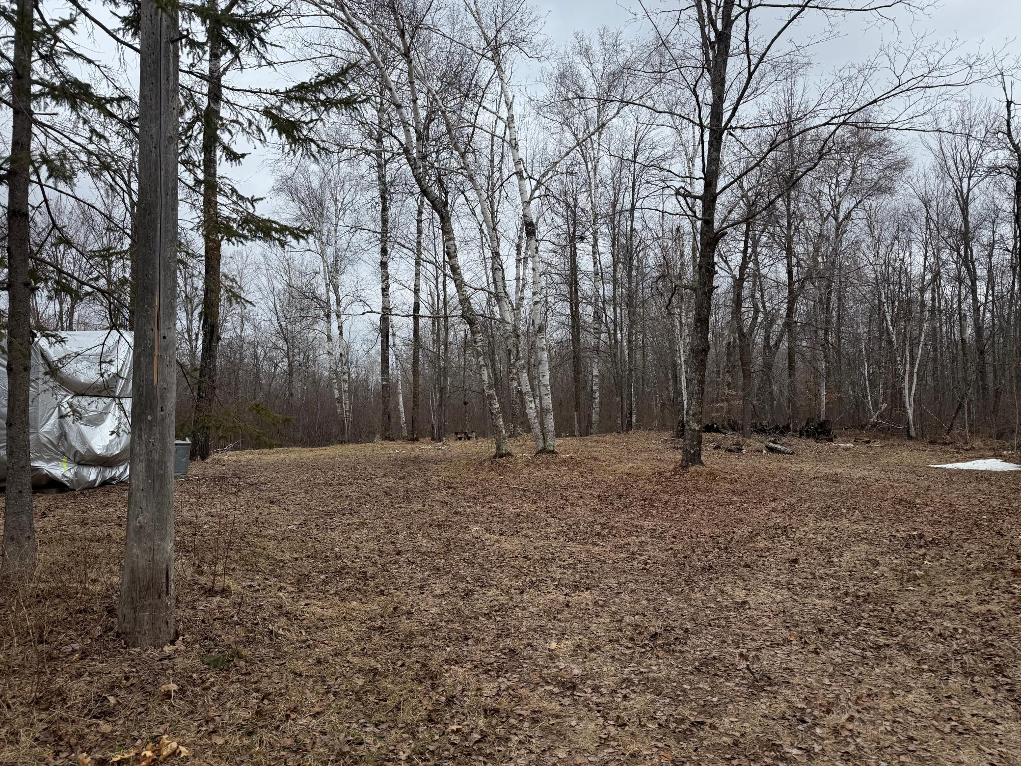 61613 Park Hills Road Bruno, MN 55712 - Photo 9 of 42