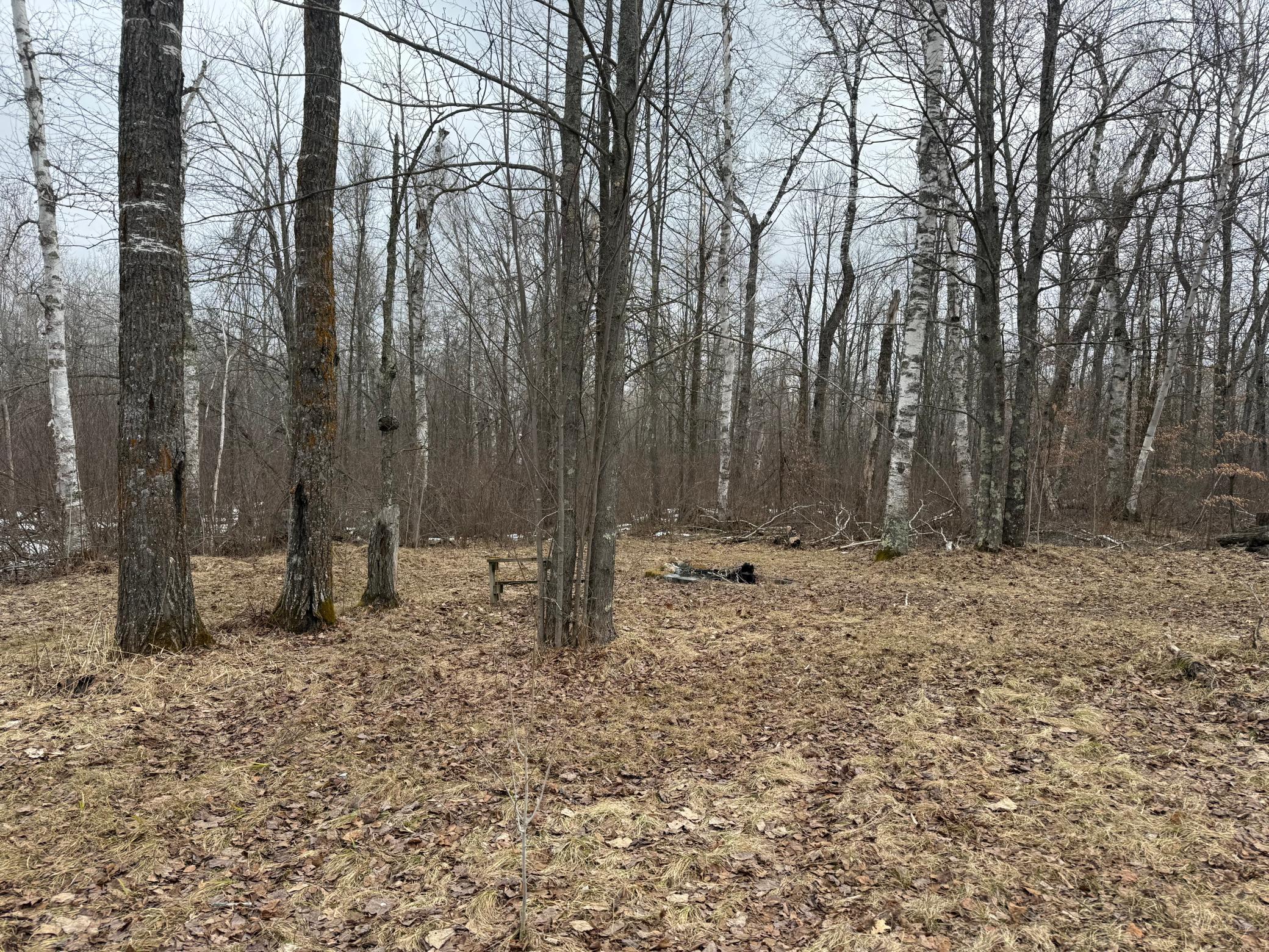 61613 Park Hills Road Bruno, MN 55712 - Photo 10 of 42