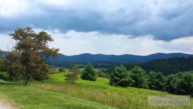 Lot 20 Ridgeline Way Sparta, NC 28675 - Photo 1 of 10 Gallery Image 1