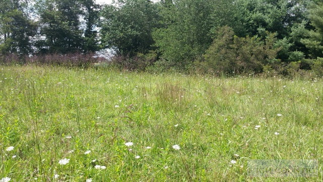 Lot 20 Ridgeline Way Sparta, NC 28675 - Photo 2 of 10 Gallery Image 2