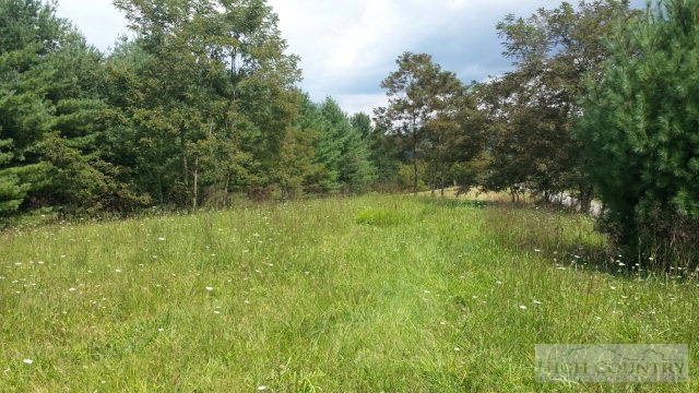 Lot 20 Ridgeline Way Sparta, NC 28675 - Photo 4 of 10 Gallery Image 4
