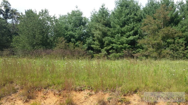 Lot 20 Ridgeline Way Sparta, NC 28675 - Photo 6 of 10 Gallery Image 6
