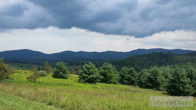 Lot 20 Ridgeline Way Sparta, NC 28675 - Photo 8 of 10 Gallery Image 8