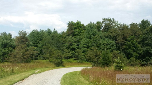 Lot 20 Ridgeline Way Sparta, NC 28675 - Photo 9 of 10 Gallery Image 9
