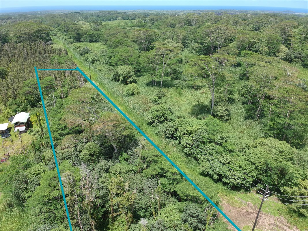 1 Forest Road Pahoa, HI 96778 - Photo 2 of 6 a view of a forest with a city