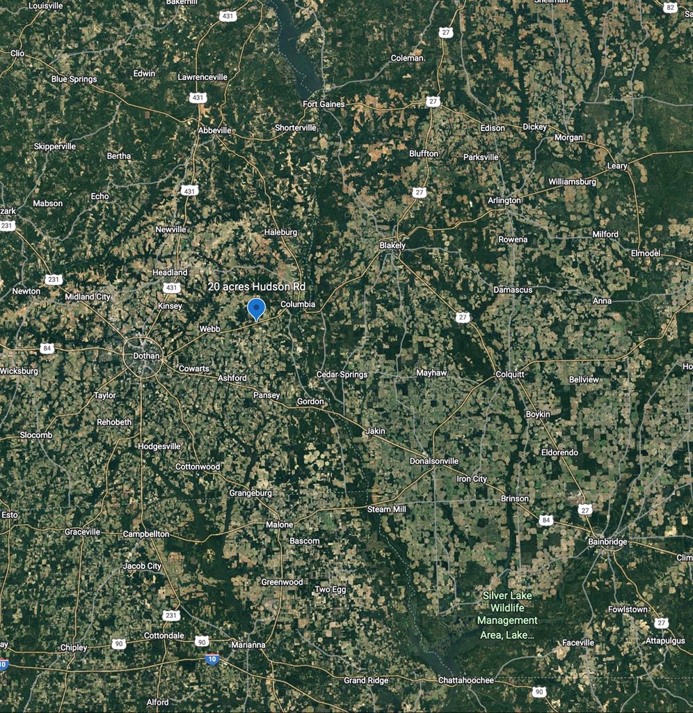 20-acres Hudson Road Columbia, AL 36319 - Photo 29 of 40