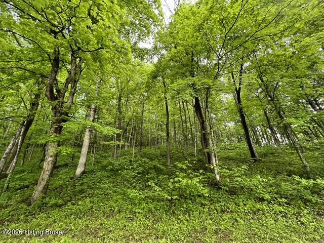 450 Pea Ridge Road Shelbyville, KY 40065 - Photo 69 of 90 IMG_7684