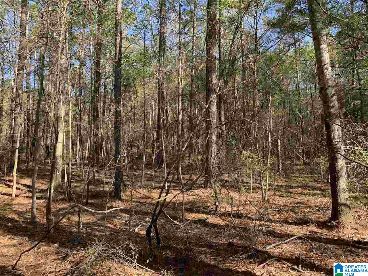 400 Valley Road, Unit 10 Talladega, AL 35160 - Photo 2 of 5