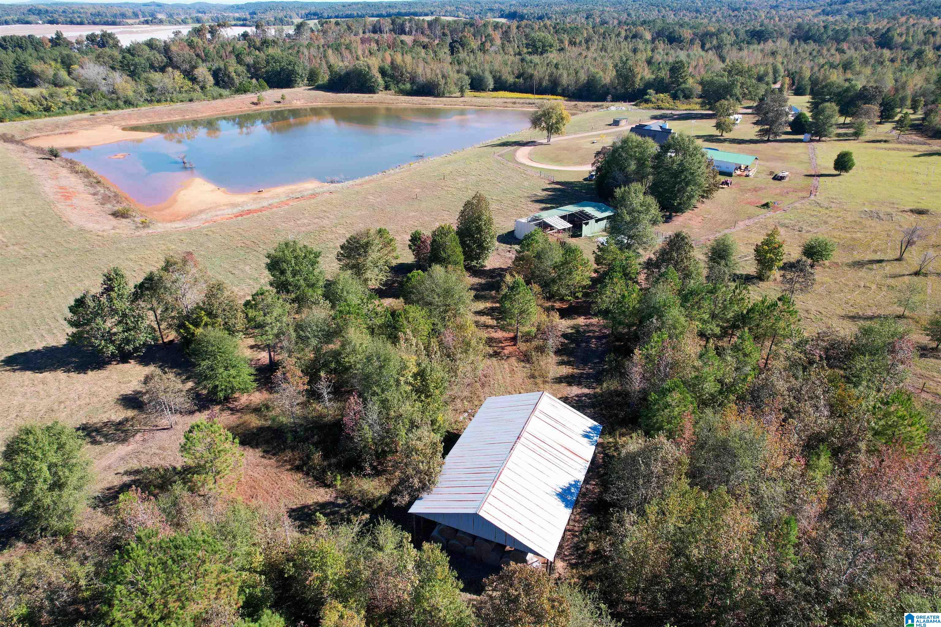 1450 Rendalia Motorway Talladega, AL 35160 - Photo 24 of 64