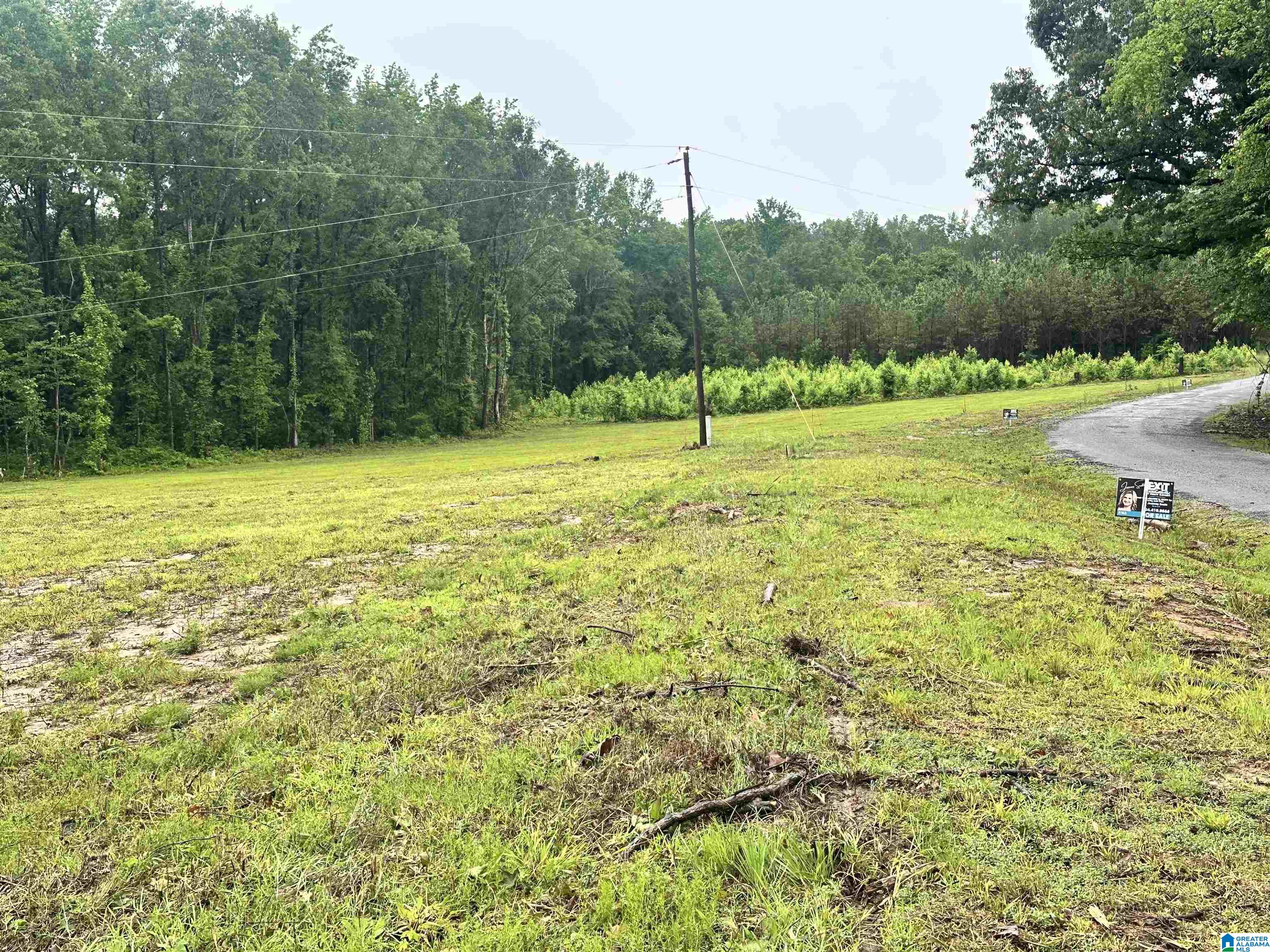 0 Ward School Road, Unit 4 Centreville, AL 35042 - Photo 2 of 3