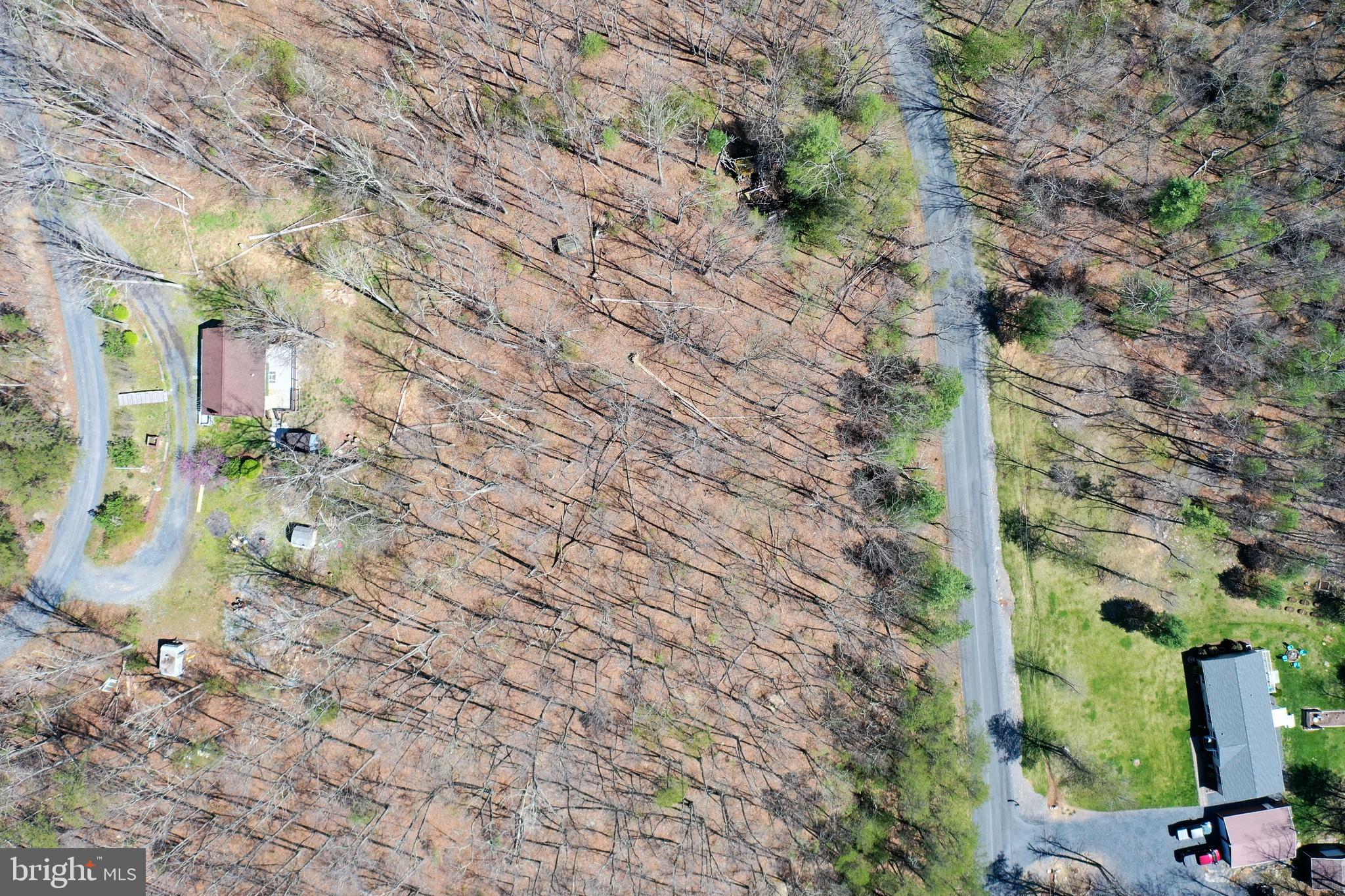 Lot 6 Moreland Gap Road New Market, VA 22844 - Photo 3 of 6