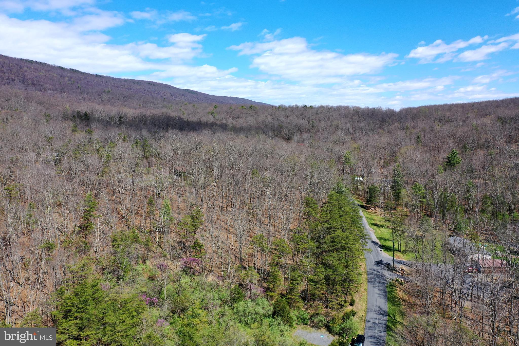 Lot 6 Moreland Gap Road New Market, VA 22844 - Photo 5 of 6