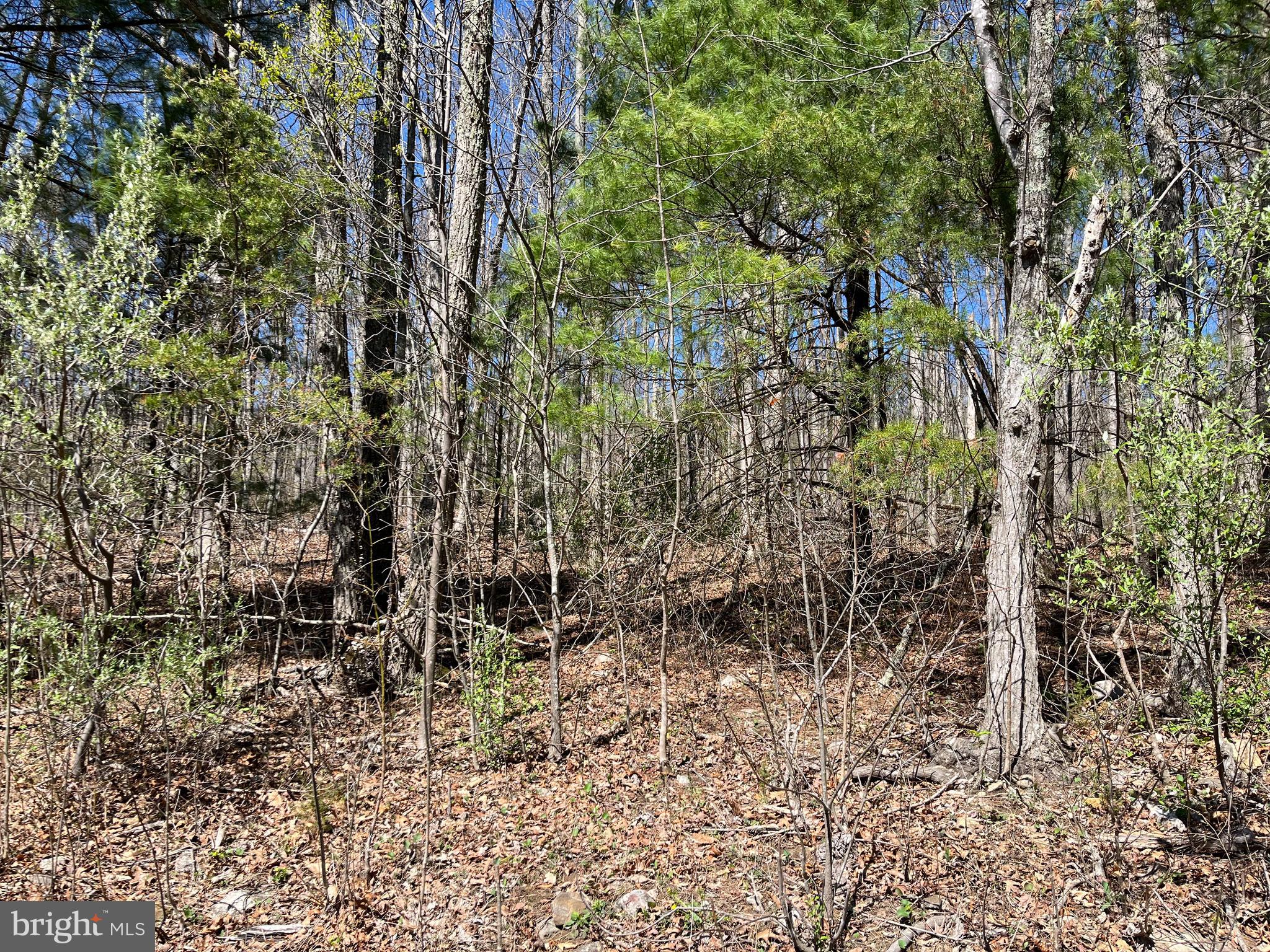 Lot 6 Moreland Gap Road New Market, VA 22844 - Photo 6 of 6