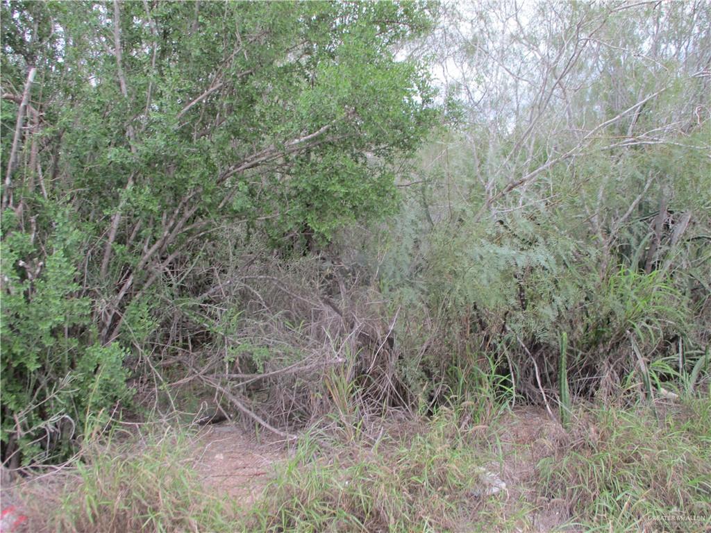 217 North Charco Blanco Road Rio Grande City, TX 78582 - Photo 3 of 4