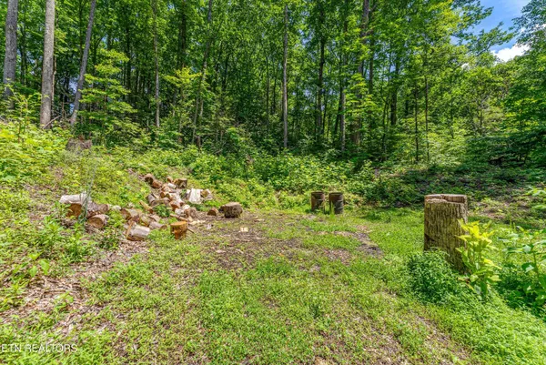 $170,000 | 229 Sonshine Ridge Road, Cosby, TN 37722