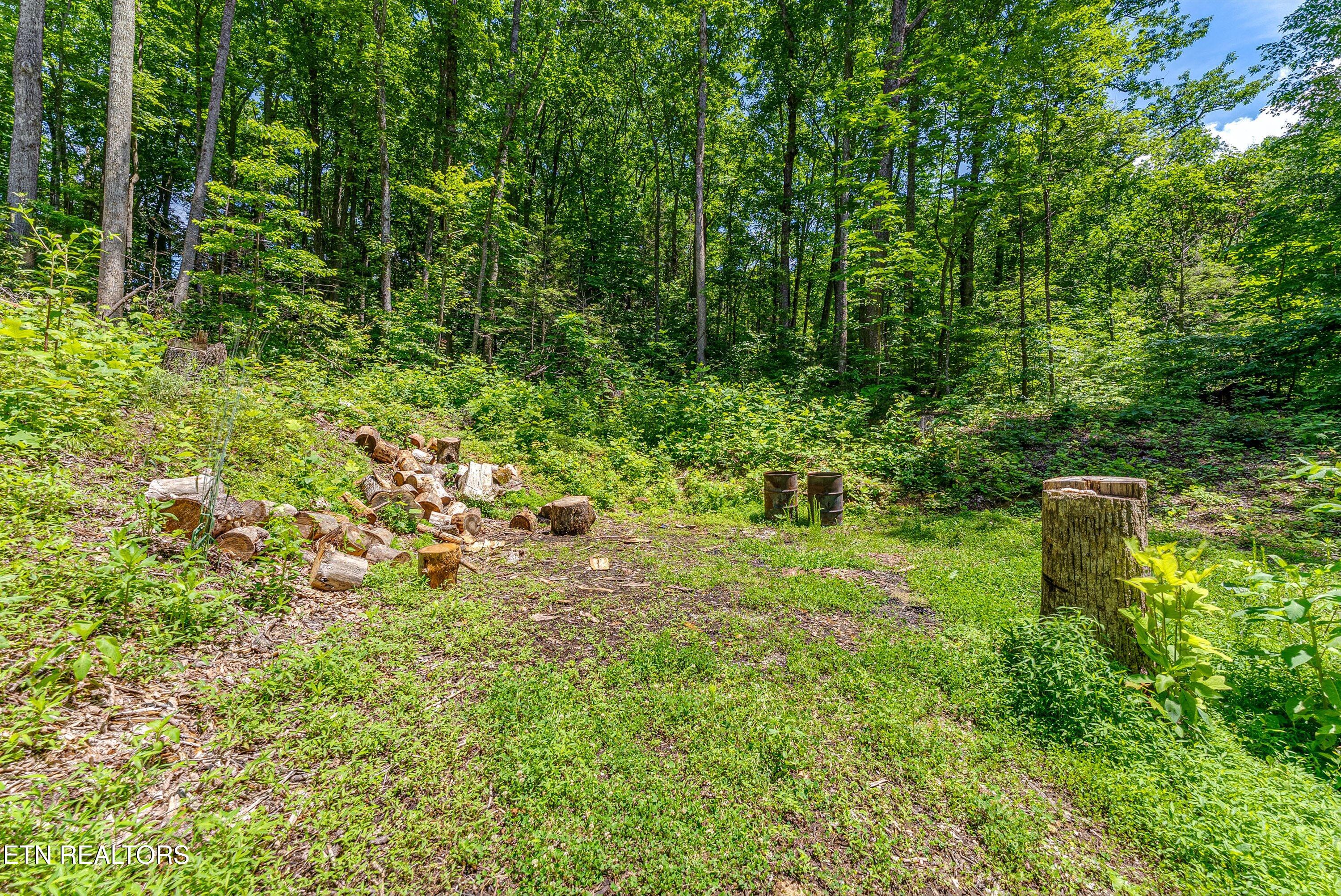 229 Sonshine Ridge Road Cosby, TN 37722 - Photo 1 of 22 28-Clearing A2