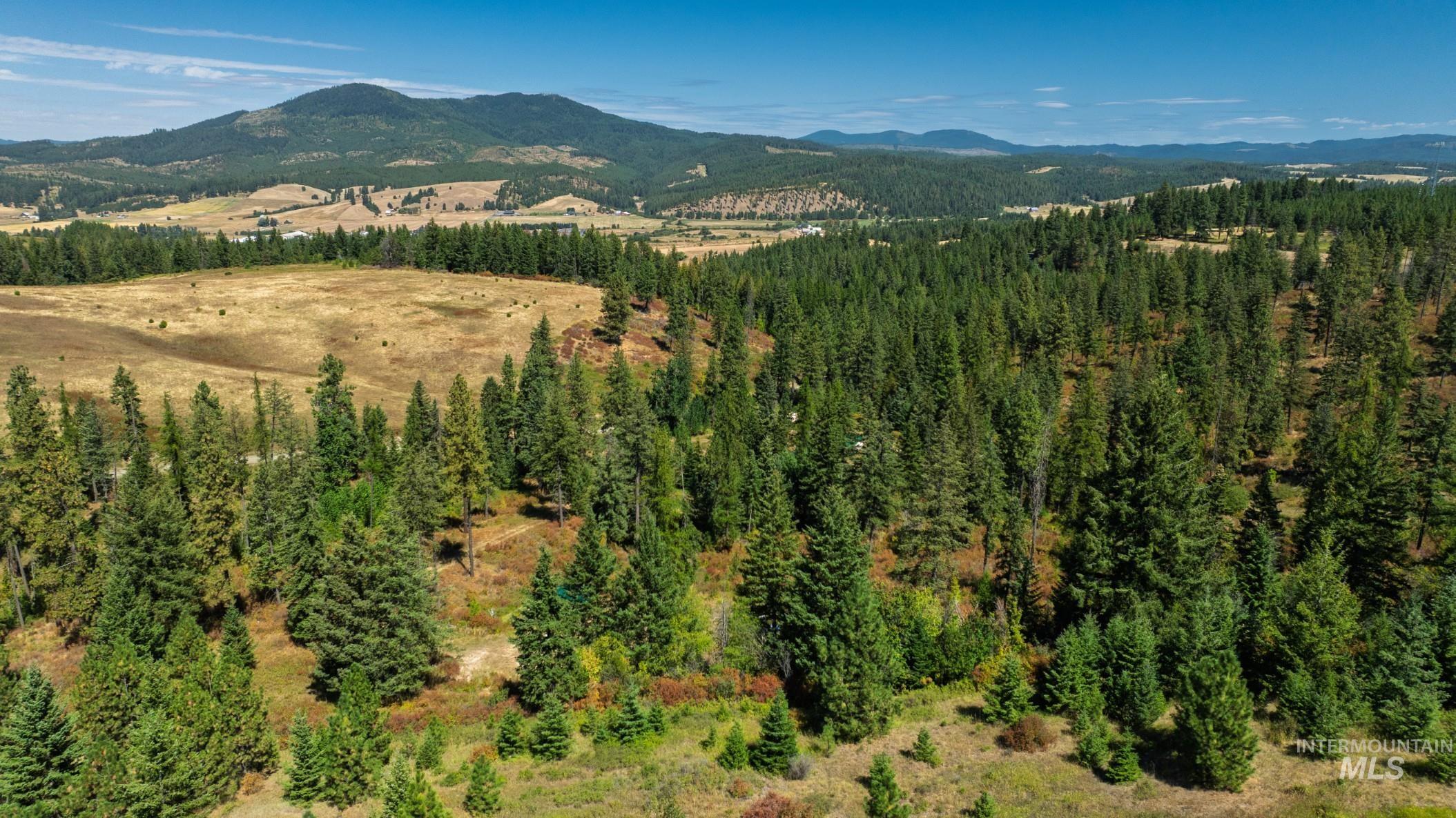 Nka O'reilly Road Princeton, ID 83857 - Photo 23 of 34