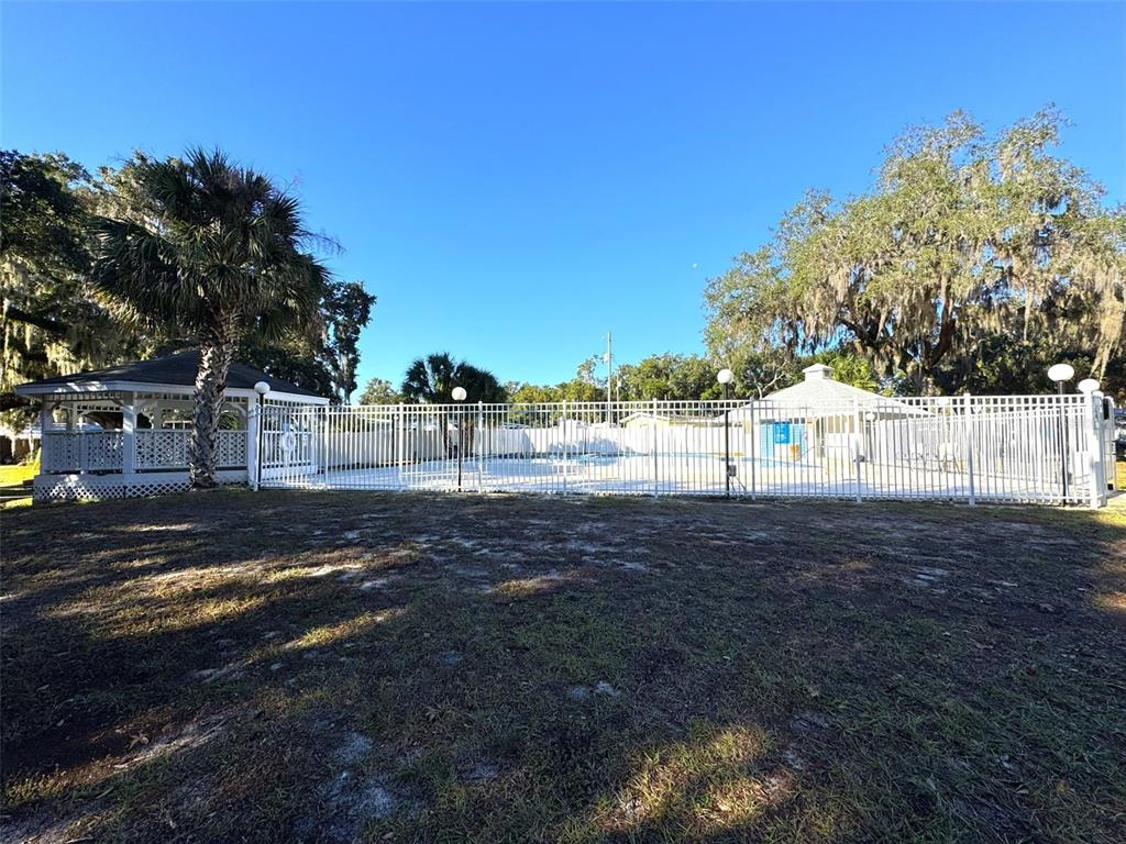 1226 Cypress Cove Court Inverness, FL 34450 - Photo 22 of 25 a view of dirt yard with a large tree