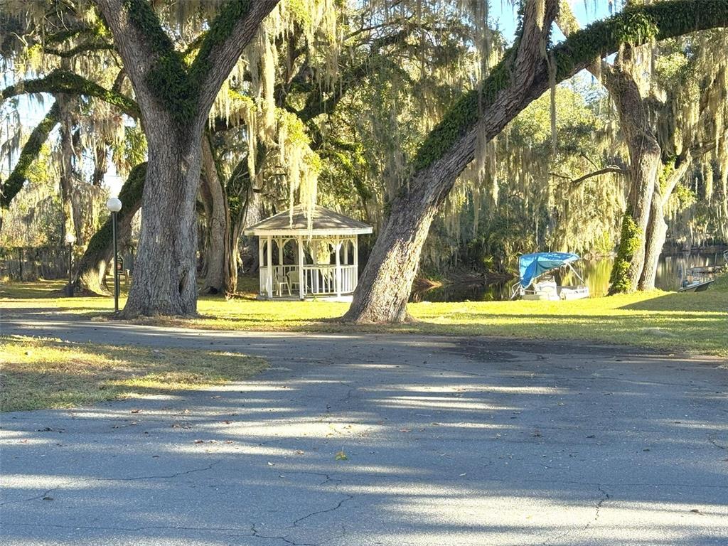 1226 Cypress Cove Court Inverness, FL 34450 - Photo 25 of 25 a view of swimming pool with large trees