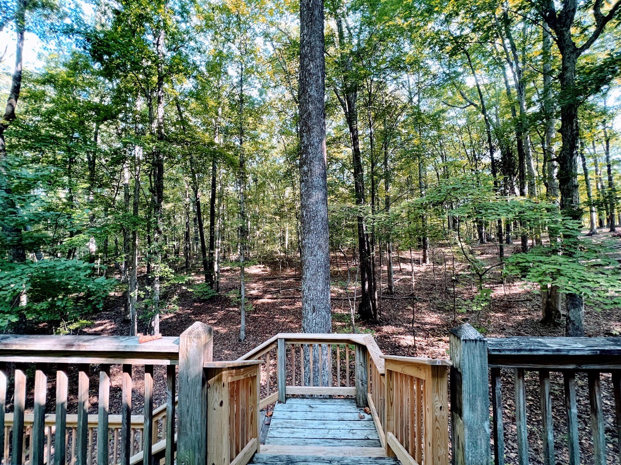 423 Bear Court Monteagle, TN 37356 - Photo 31 of 34 a view of a wooden deck next to a yard