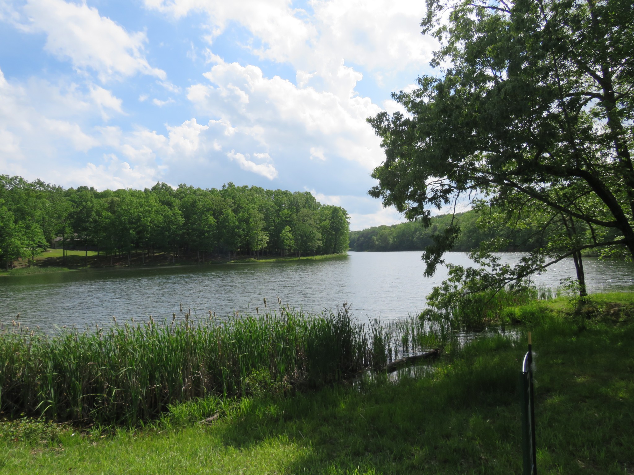 423 Bear Court Monteagle, TN 37356 - Photo 34 of 34 a view of a lake from a yard