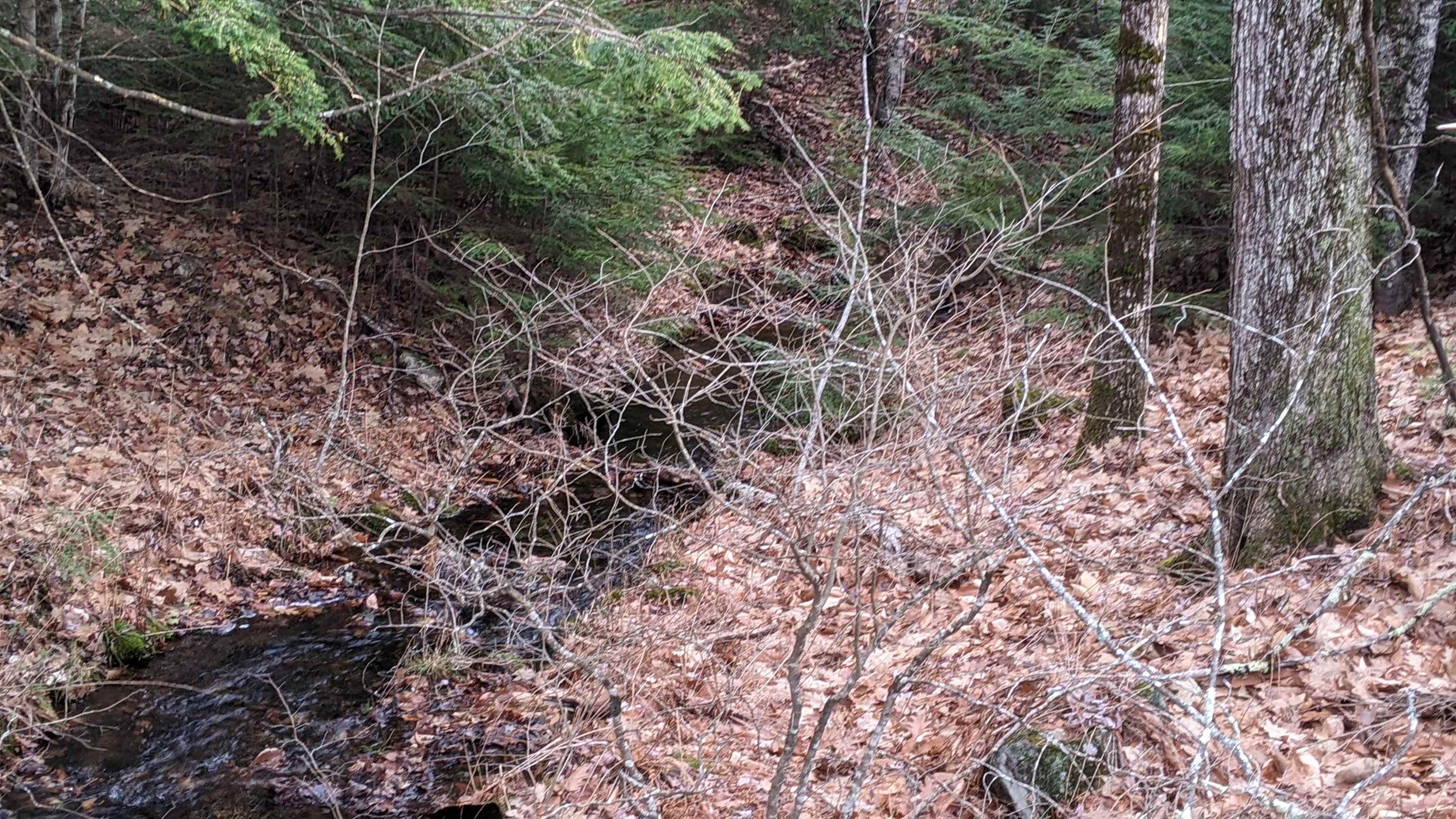 12 Perry Brook Road Chichester, NH 03258 - Photo 11 of 13