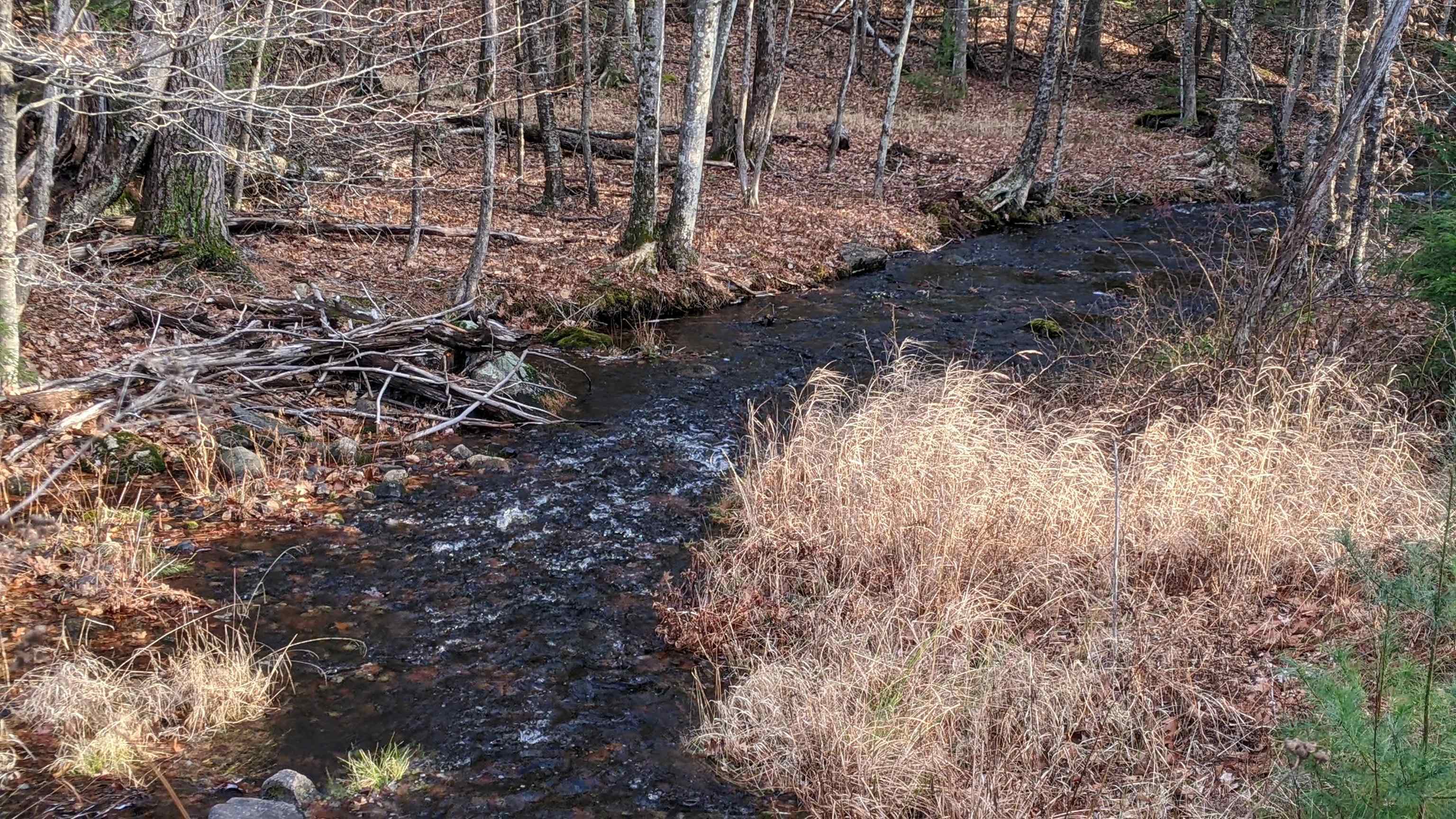 12 Perry Brook Road Chichester, NH 03258 - Photo 2 of 13
