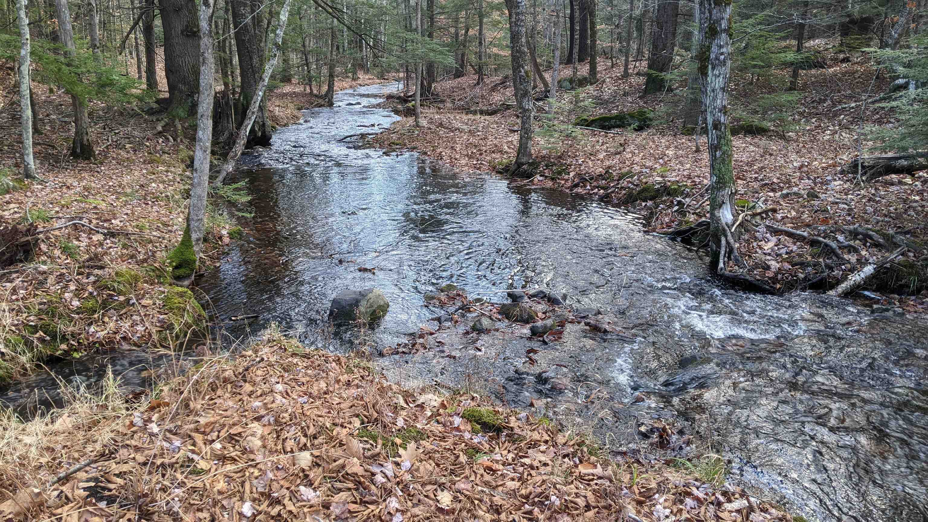 12 Perry Brook Road Chichester, NH 03258 - Photo 5 of 13