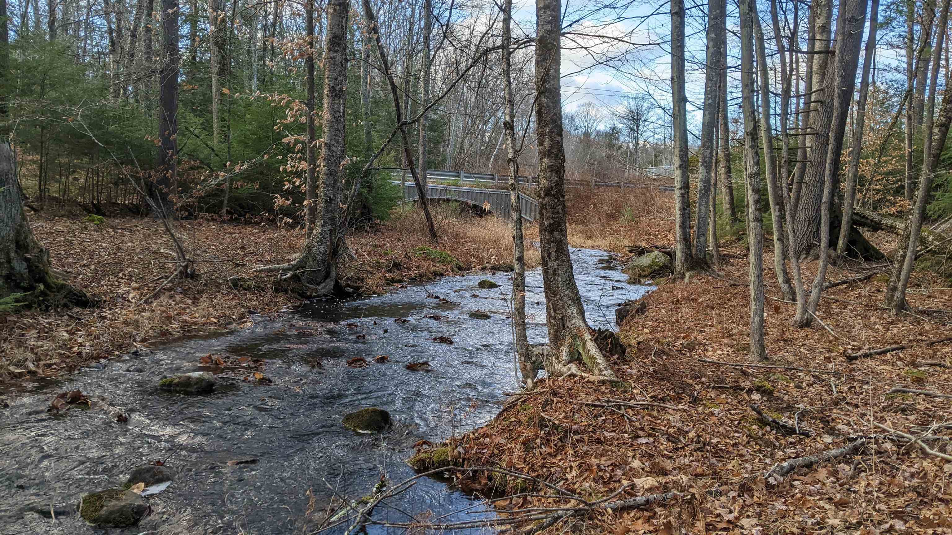 12 Perry Brook Road Chichester, NH 03258 - Photo 6 of 13