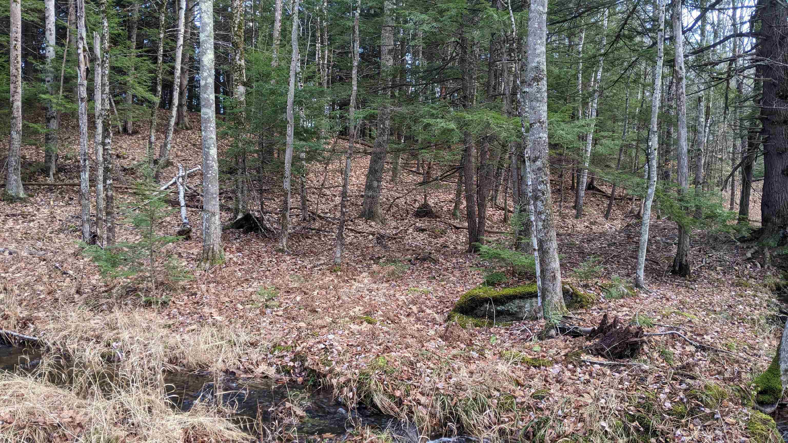 12 Perry Brook Road Chichester, NH 03258 - Photo 7 of 13