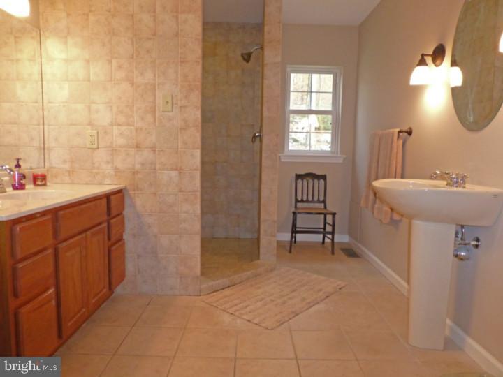 115 Geiger Road Douglassville, PA 19518 - Photo 17 of 23 Master Bathroom