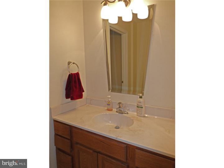 115 Geiger Road Douglassville, PA 19518 - Photo 21 of 23 Bathroom