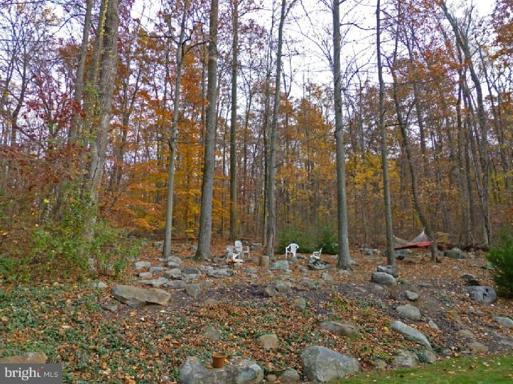 115 Geiger Road Douglassville, PA 19518 - Photo 4 of 23 Exterior Back