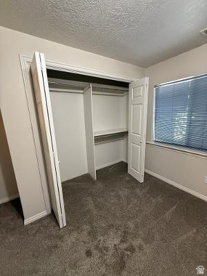 641 East Greystone Way Tooele, UT 84074 - Photo 19 of 30 Bedroom featuring a built-in closet with bifold doors and integrated shelving, textured ceiling, and carpeting
