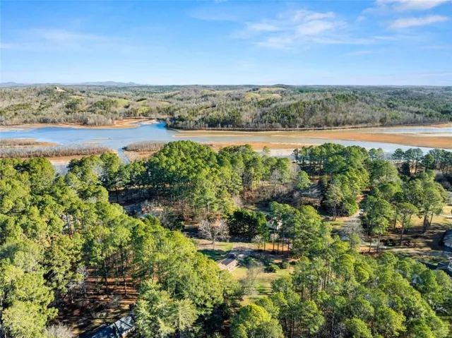 an aerial view of field and trees