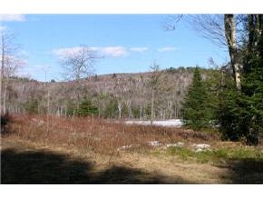 100 Old Rt 10 Grantham, NH 03753 - Photo 7 of 7