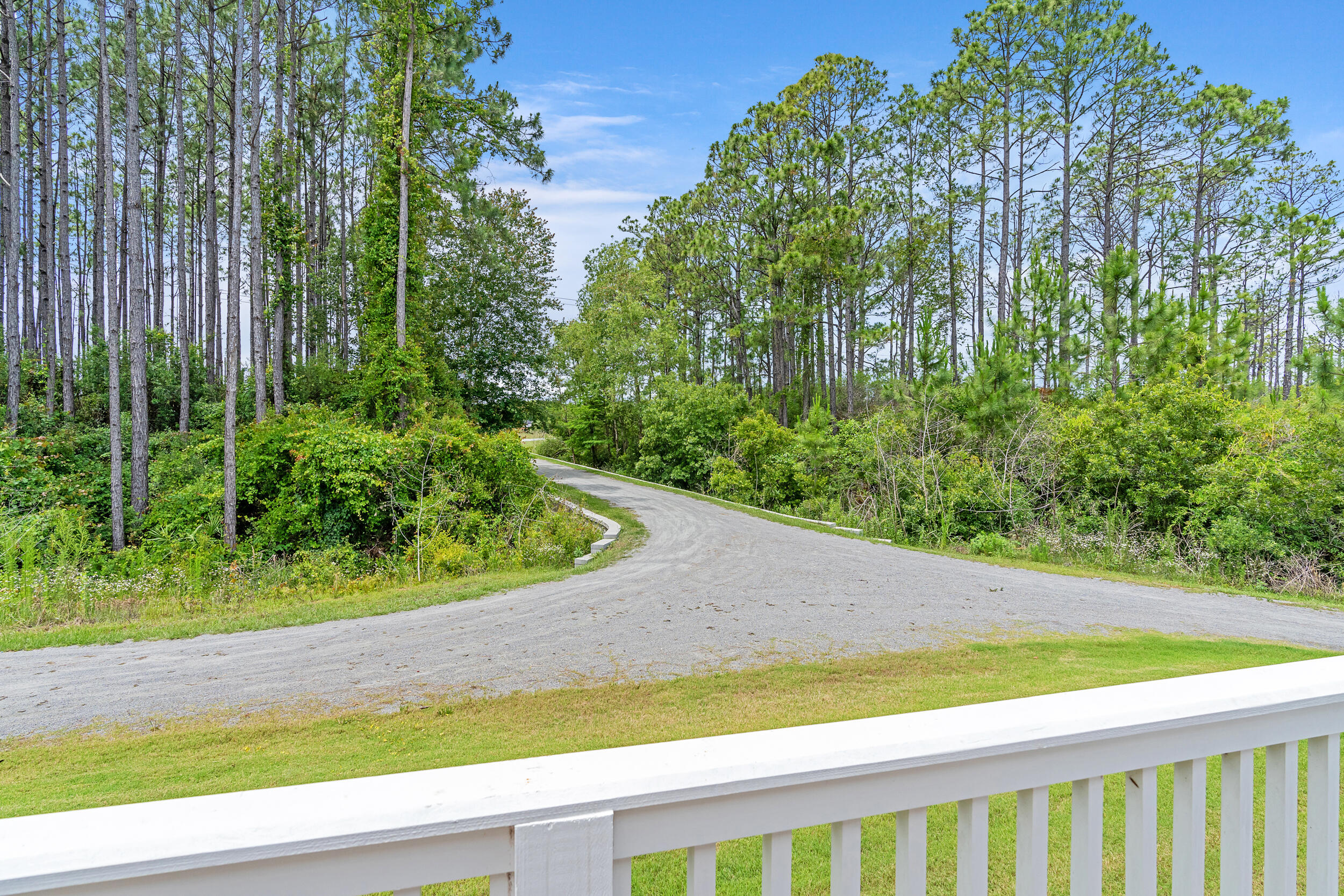 115 Golden Bell Court, Unit 115C Inlet Beach, FL 32461 - Photo 3 of 48 a view of a garden with an outdoor space