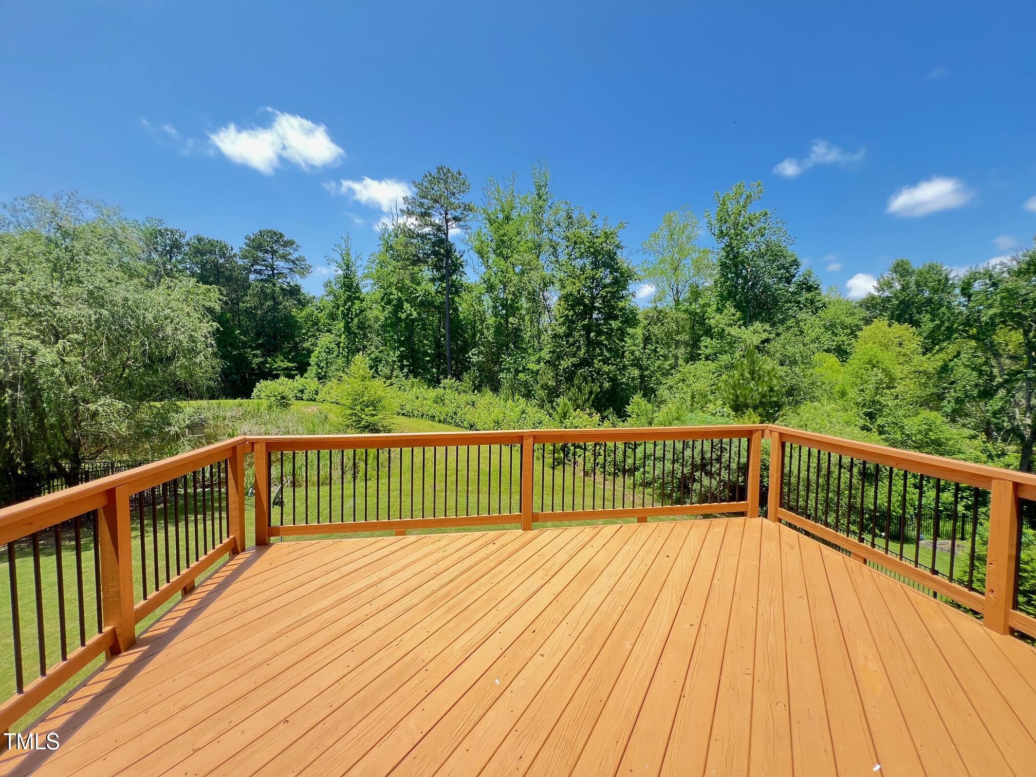 1746 Hammocks Beach Trail Apex, NC 27502 - Photo 6 of 16 deck2